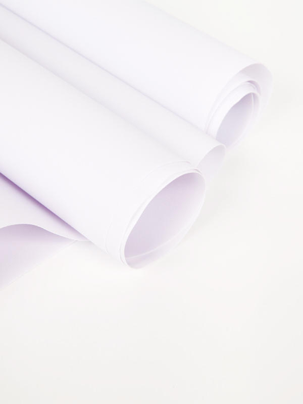 PVC Backlit Flex Banner